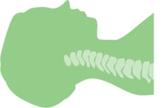 head zone